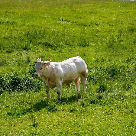 펜션 Entre Clermont Ferrand Et Montlucon